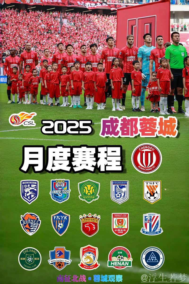 成都蓉城战平领头羊，2025赛季遗憾落幕
